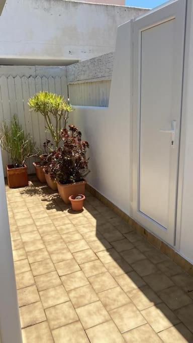 Galeria Tres Pinos Apartment San Jose  Exterior photo